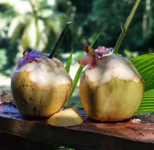 Ecoscape Jamaica - By The River Holiday home