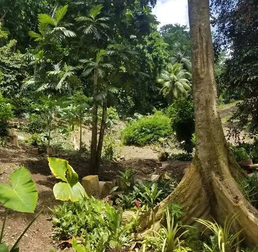 Ecoscape Jamaica - By The River Holiday home *