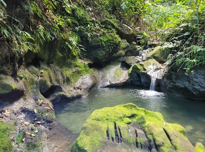 Ecoscape Jamaica - By The River