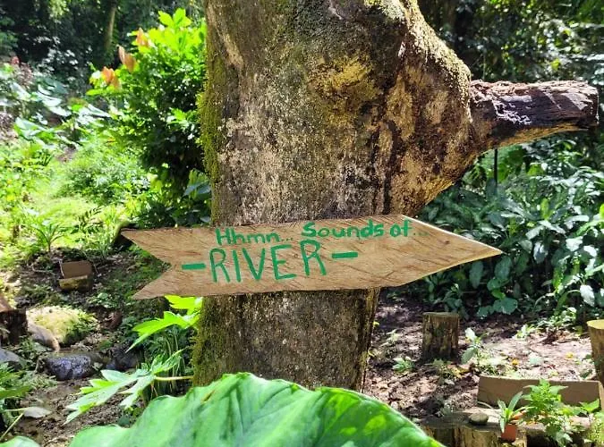 Ecoscape Jamaica - By The River Holiday home *