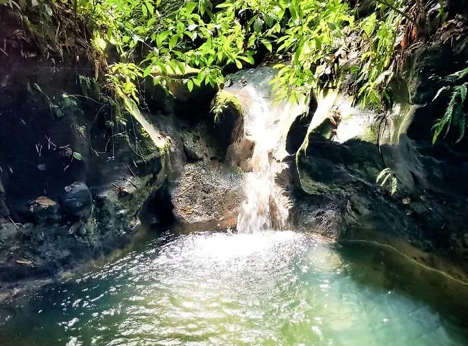 Ecoscape Jamaica - By The River *