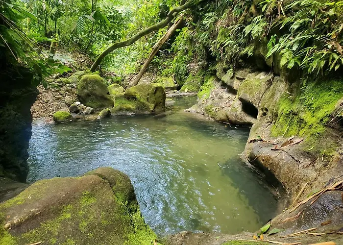 Ecoscape Jamaica - By The River Ocho Rios