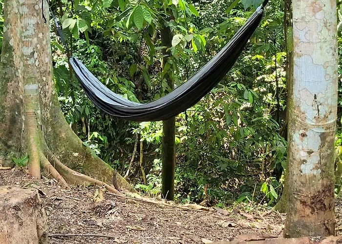 Ecoscape Jamaica - By The River Holiday home