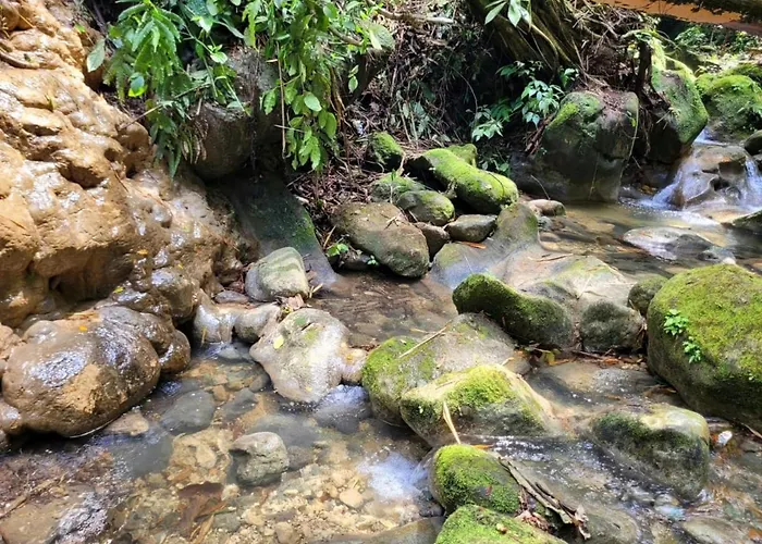 Holiday home Ecoscape Jamaica - By The River *