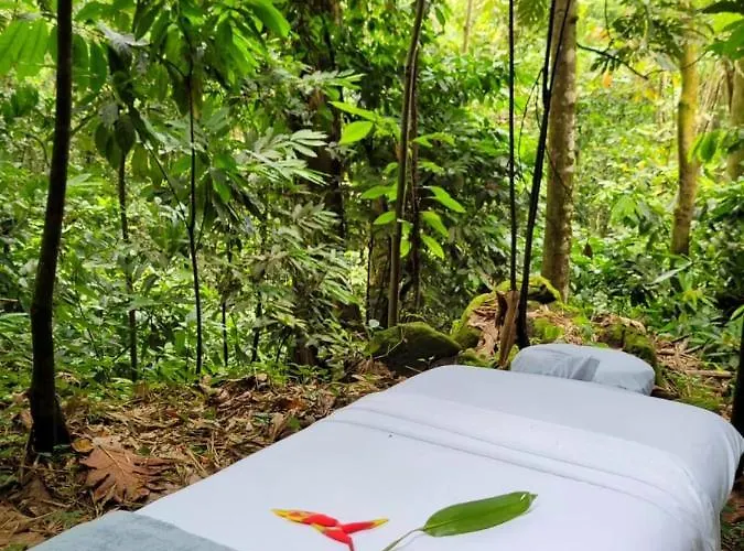 Ecoscape Jamaica - By The River Holiday home Ocho Rios