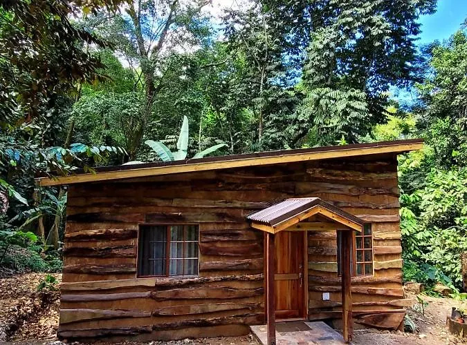 Holiday home Ecoscape Jamaica - By The River