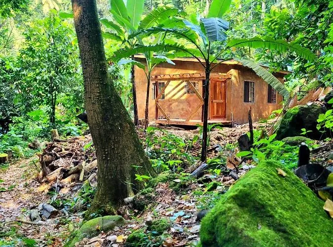 Ecoscape Jamaica - By The River