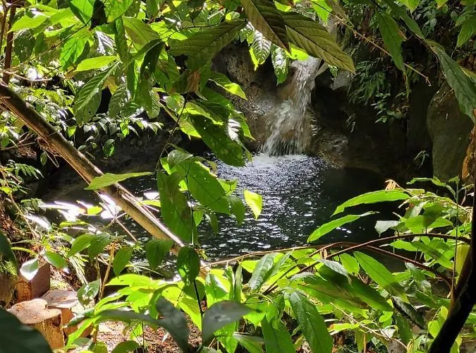 Ecoscape Jamaica - By The River Holiday home *
