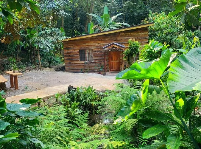 Ecoscape Jamaica - By The River Holiday home *