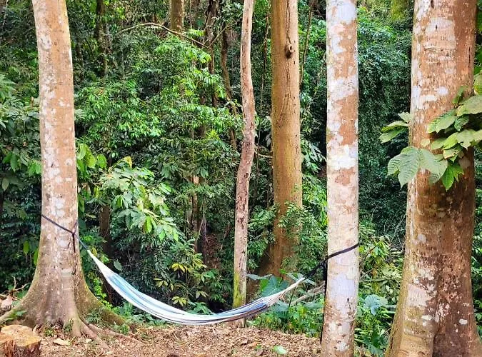 Ecoscape Jamaica - By The River Ocho Rios
