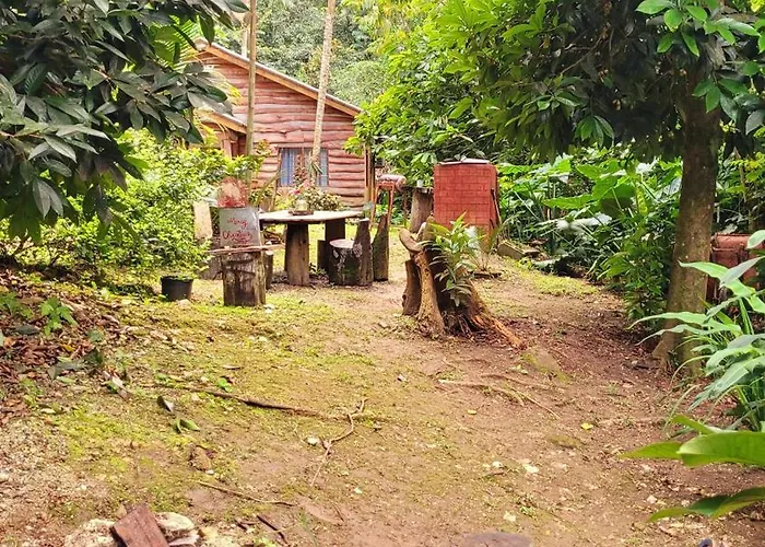 Ecoscape Jamaica - By The River